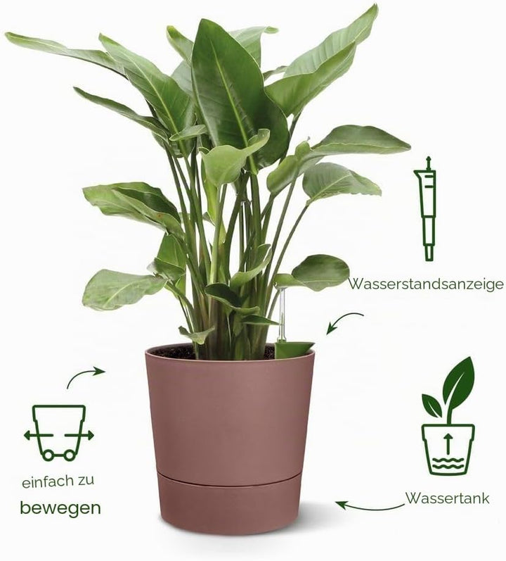 elho Greensense Aqua Care Rund 43 mit Integrierte Wasserspeicher - Blumentopf für Innen &amp; Aussen - 1