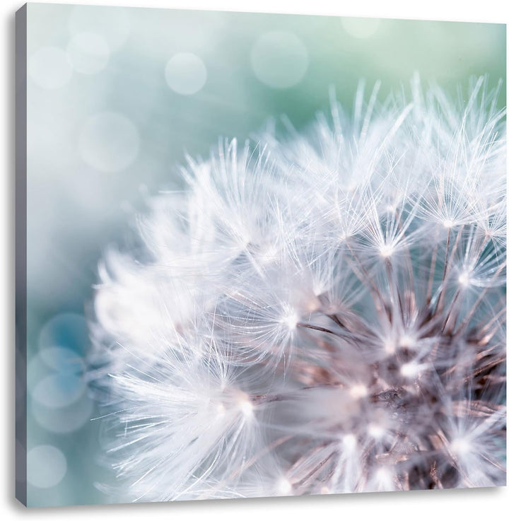Zauberhafte Pusteblume, Format: 70x70 auf Leinwand, XXL riesige Bilder fertig gerahmt mit Keilrahmen