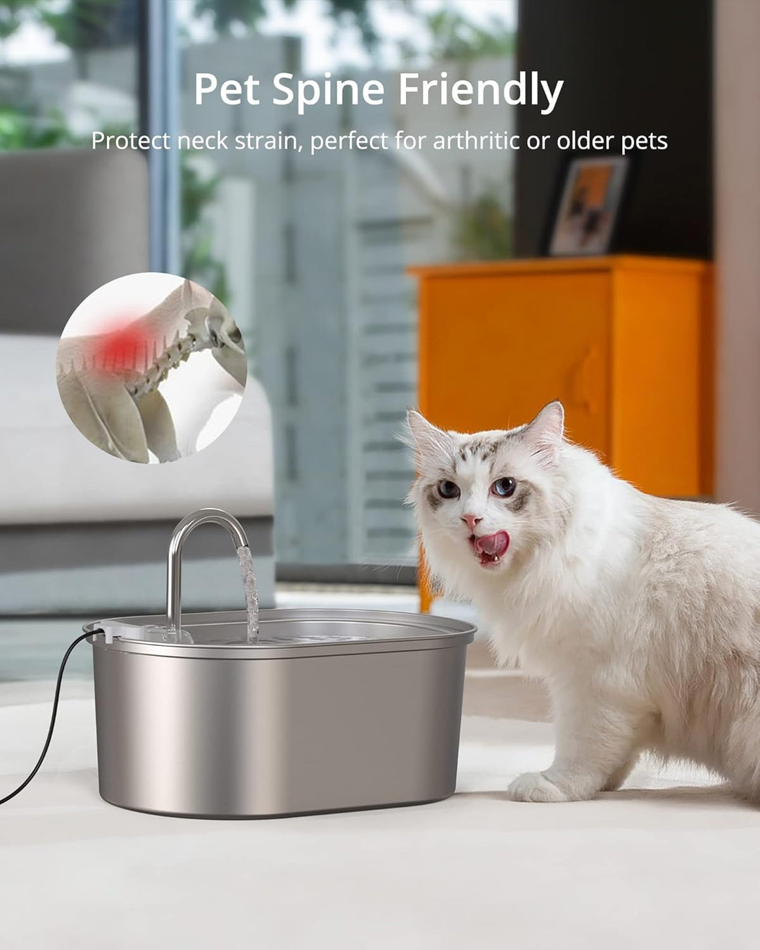 Petace Trinkbrunnen Edelstahl 3.2 L für Katze und Hunde, Katzenbrunnen mit Pumpe und 4 Aktivkohlefil