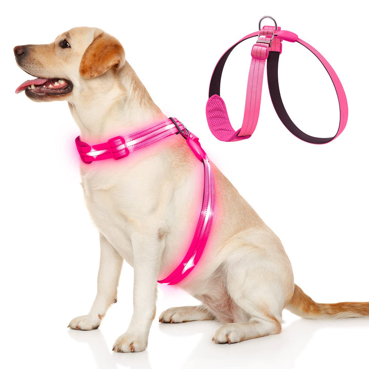 KOSKILL LED Hundegeschirr Wiederaufladbares Beleuchtetes Hundegeschirr Leuchtet Im Dunkeln LED Hunde