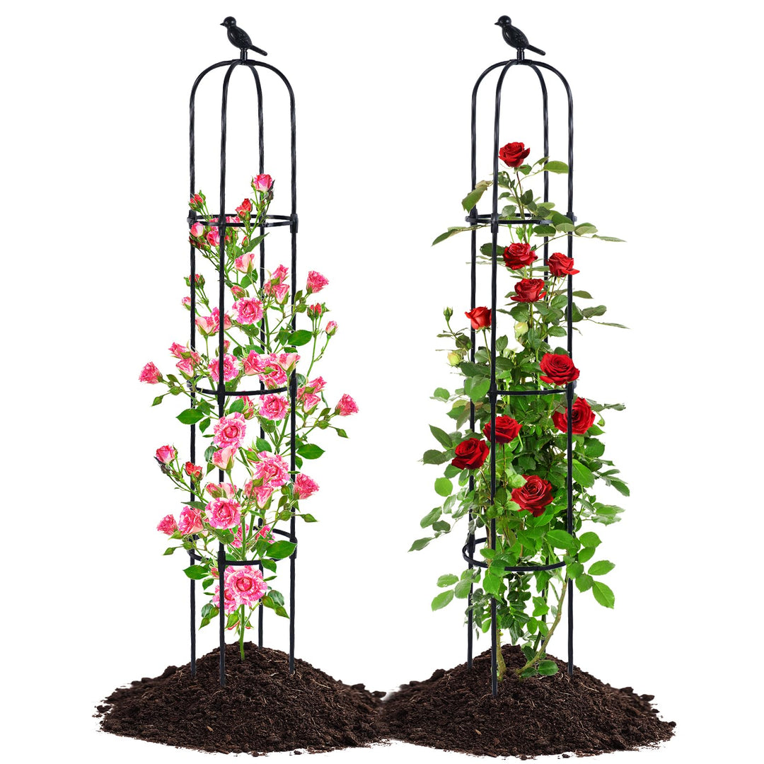 Garten Obelisk Rankhilfe, Rosen Rankgitter Rostfrei Trellis für Kletterreben Clematis Gurken,170cm,S