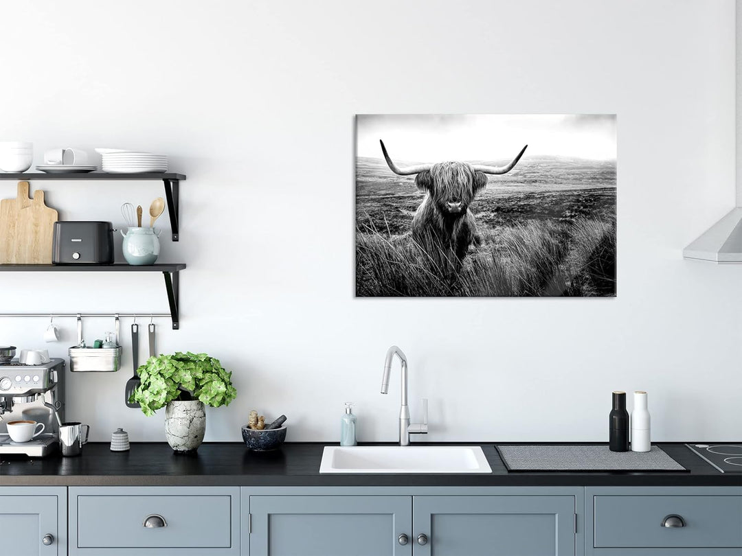 Pixxprint Glasbild | Wandbild aus Echtglas | Highland Rind mit grossen Hörnern Steppe, Monochrome |