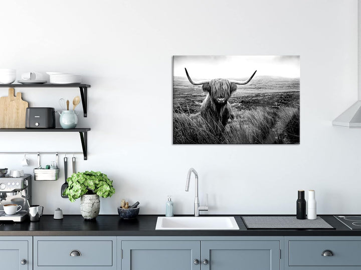 Pixxprint Glasbild | Wandbild aus Echtglas | Highland Rind mit grossen Hörnern Steppe, Monochrome |
