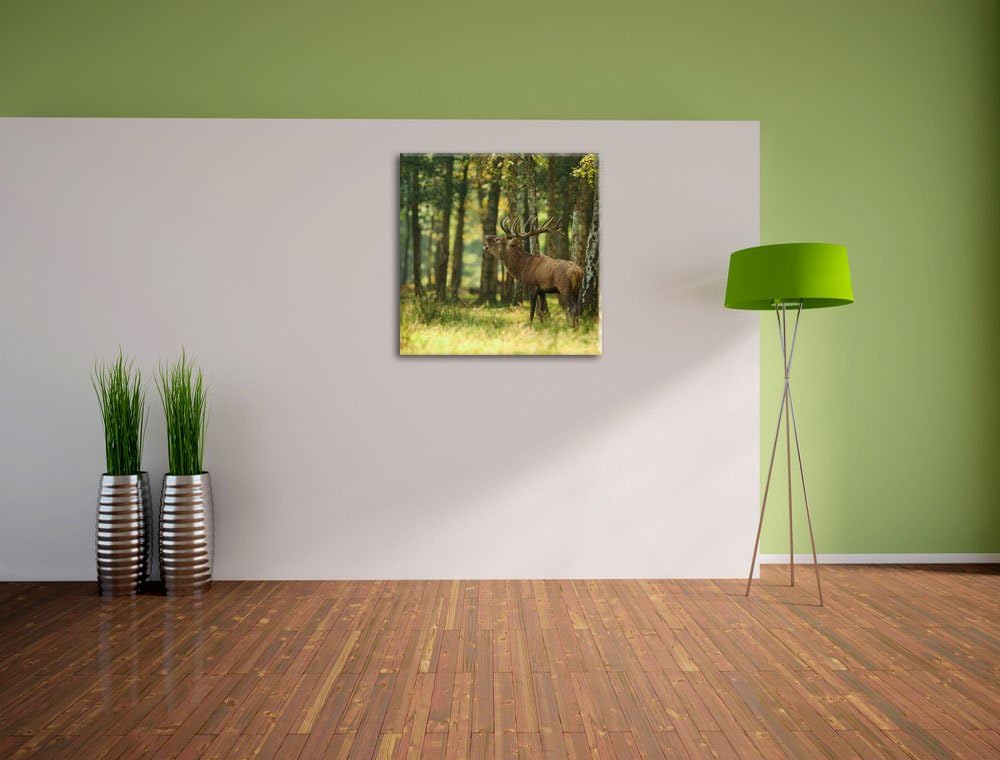 Pixxprint Hirsch im Wald, Format: 70x70 auf Leinwand, XXL riesige Bilder fertig gerahmt mit Keilrahm