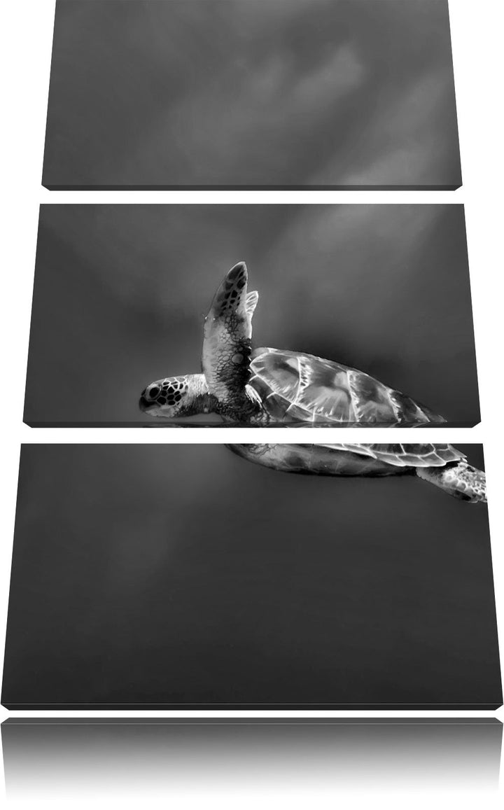 Pixxprint Monocrome, Schildkröte im Meer 3-Teiler Leinwandbild 120x80 Bild auf Leinwand
