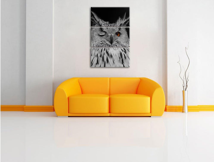 Pixxprint Dark schöne Waldohreule zwinkert schwarz/weiss 3-Teiler Leinwandbild 120x80 Bild auf Leinw