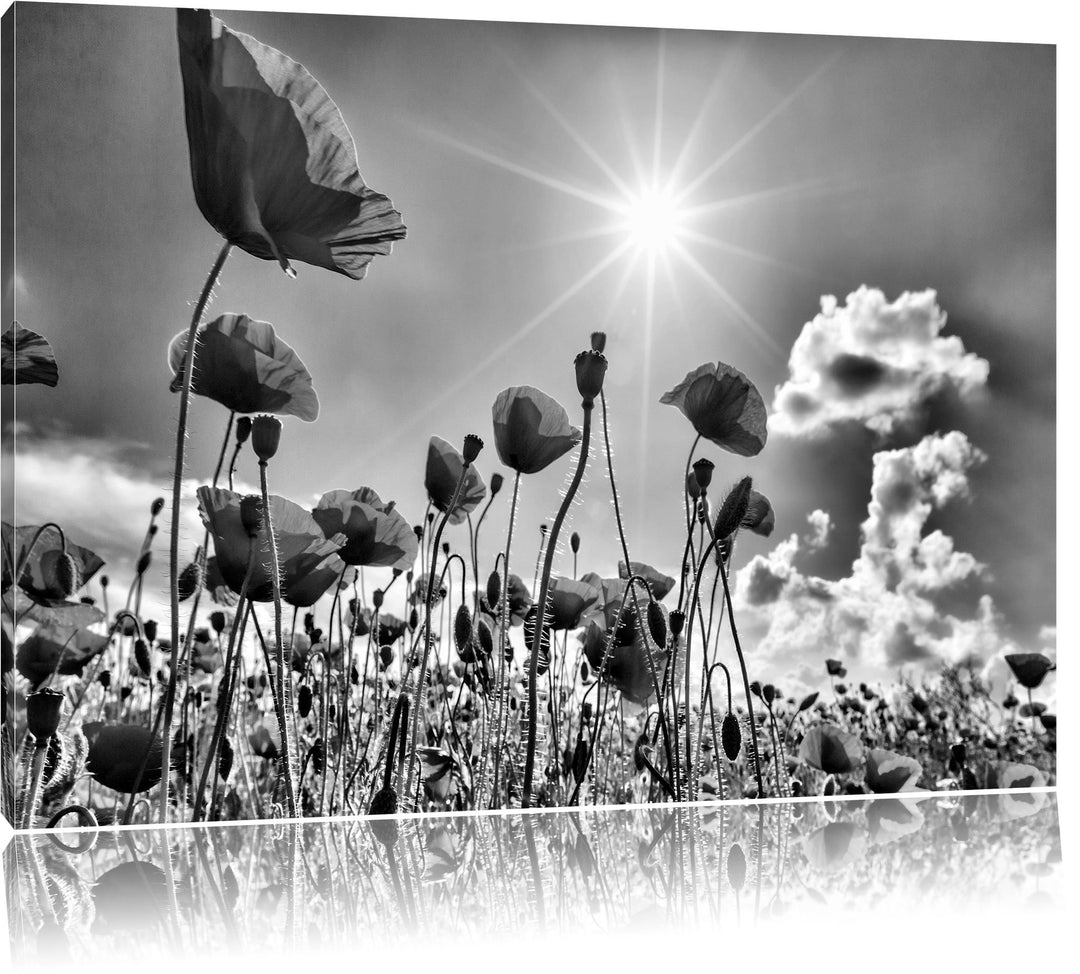 Monocrome, Mohnblumen, Format: 100x70 auf Leinwand, XXL riesige Bilder fertig gerahmt mit Keilrahmen
