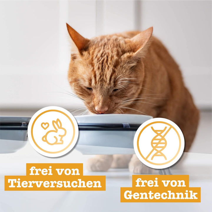 Catz finefood Purrrrly No. 107 Lammherzen, gefriergetrockneter Katzensnack/ Katzenleckerli, 6er Pack