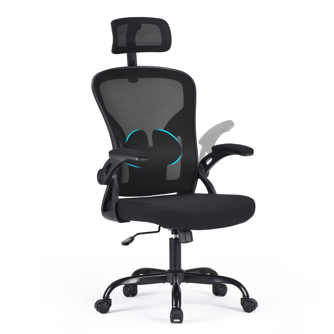 Farini Höhenverstellbar Ergonomischer Stuhl Schreibtisch Stuhl Bürostuhl Bequem mit Kopfstütze, Home