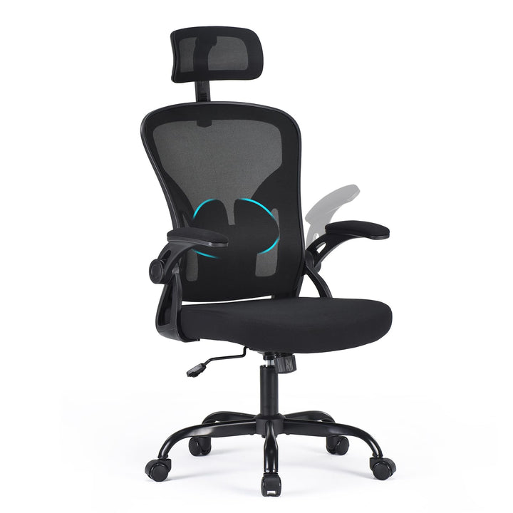 Farini Höhenverstellbar Ergonomischer Stuhl Schreibtisch Stuhl Bürostuhl Bequem mit Kopfstütze, Home