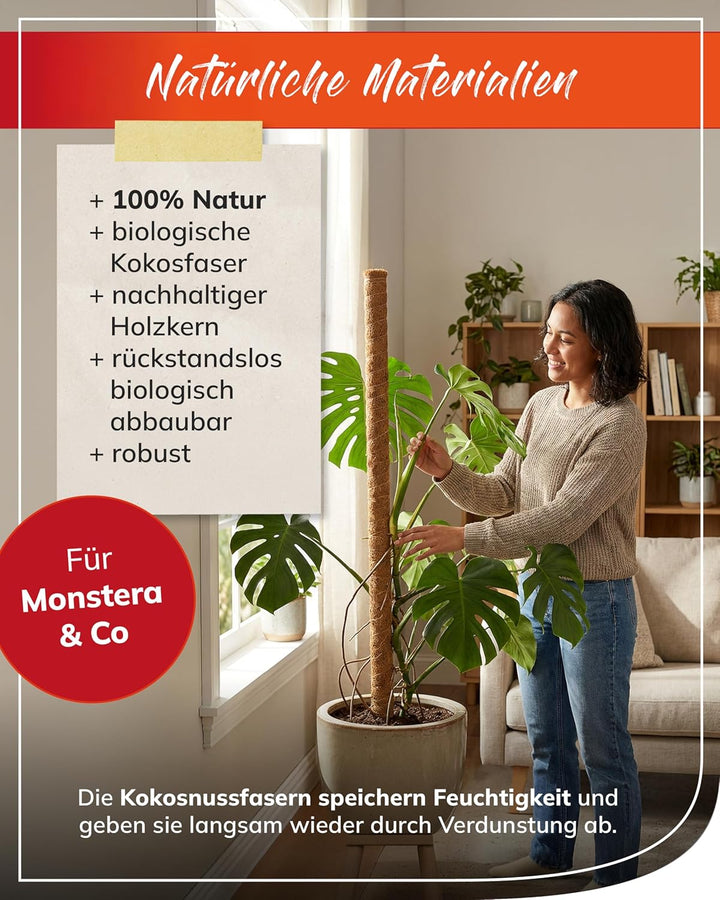 bellissa Kokosstab Pflanzstab Monstera Efeutute Rankhilfe 5er-Set 110 cm | Pflanzenstütze für Garten