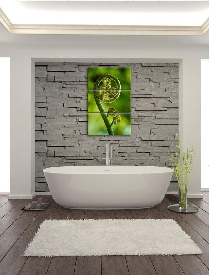 Pixxprint Blatt von Einer Farne im Wald als Leinwandbild - Grösse: 3-Teilig (120x80cm) - Wandbild -