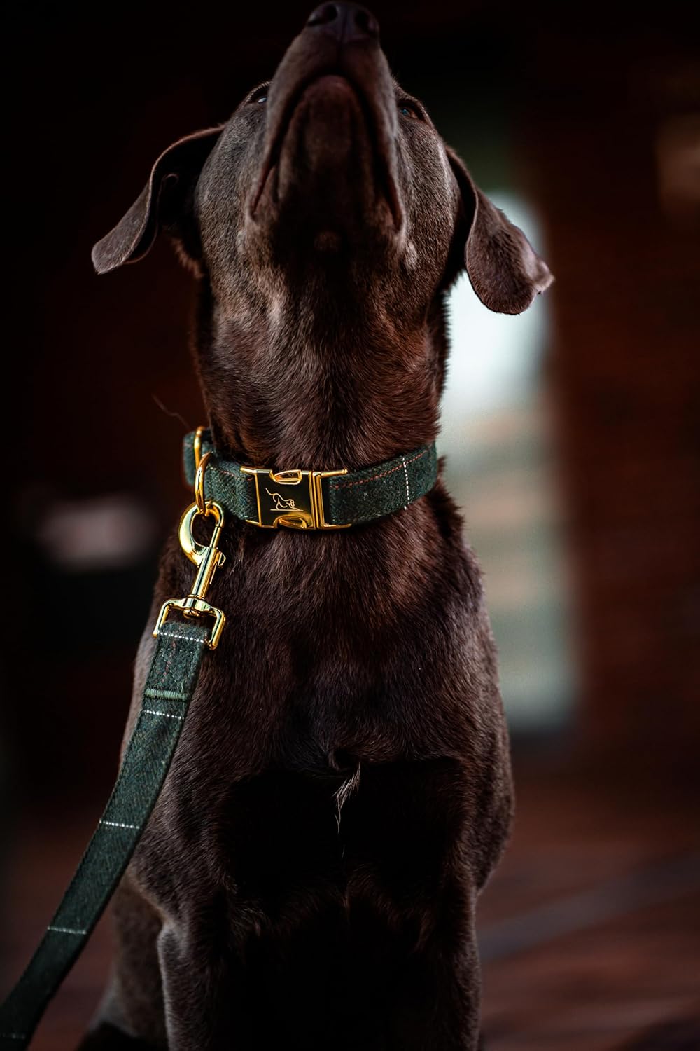 Oxford Hundehalsband Set mit Leine & Beutelspender | British Tweed Grün | verstellbar, Hundeleine 2m