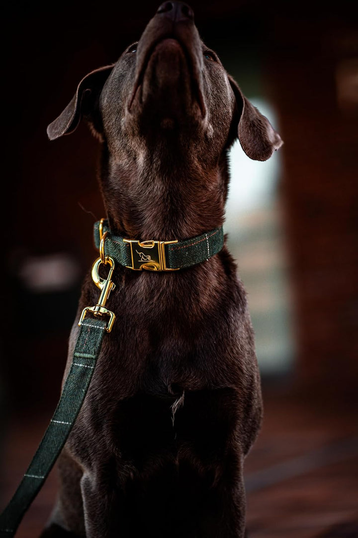 Oxford Hundehalsband Set mit Leine & Beutelspender | British Tweed Grün | verstellbar, Hundeleine 2m