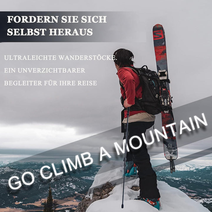 Ultraleichte Trekkingstöcke aus Kohlefaser, 5 Abschnitte, 2 Stück, Trekkingstöcke, Bergsteigen Ausrü