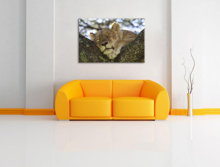 müde Löwin ruht auf Baum Leinwand, XXL riesige Bilder fertig gerahmt mit Keilrahmen, Kunstdruck auf