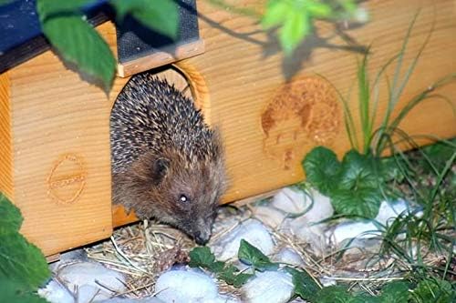 Kein Bausatz: Luxus XXXL Igelhaus 80cm x 40cm x 32cm Igelhotel 18mm Vollholz Witterungsbeständig Win