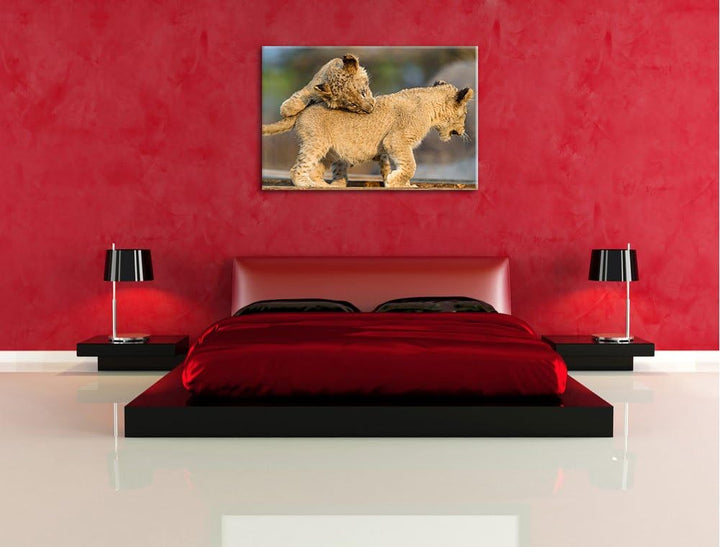 Pixxprint Löwenjunge beim Spielen auf Leinwand, XXL riesige Bilder fertig gerahmt mit Keilrahmen, Ku