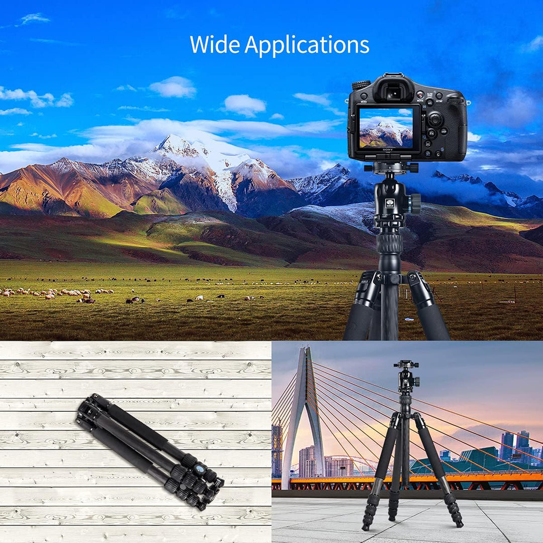 SIRUI MT-2204+MT-20 Professionelles Carbonfaser-Reisestativ mit Kugelkopf für Kameras, Stativ mit Ei