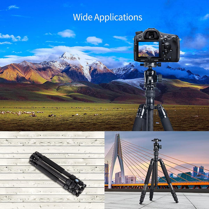 SIRUI MT-2204+MT-20 Professionelles Carbonfaser-Reisestativ mit Kugelkopf für Kameras, Stativ mit Ei