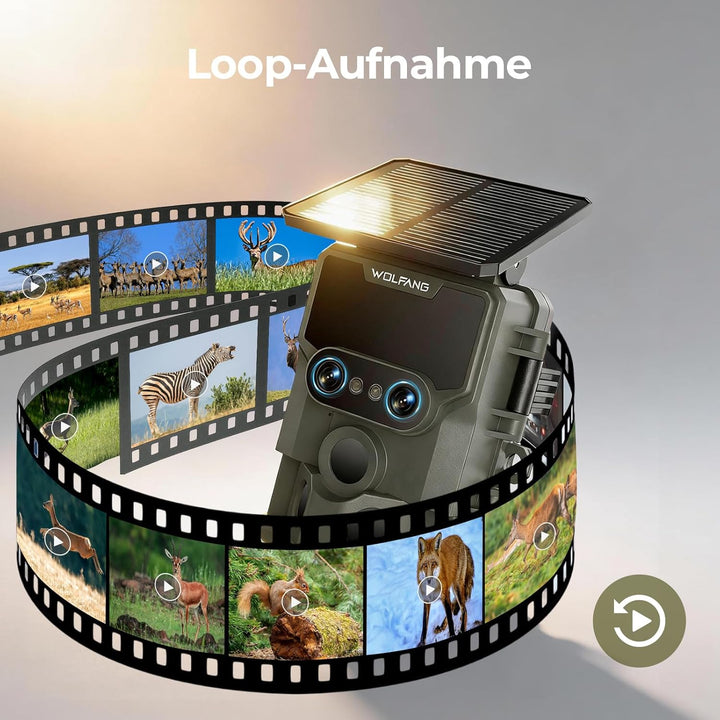 WOLFANG Wildkamera, 64 MP WLAN mit Handyübertragung-App, 4K Doppellinse Video Wildtierkamera mit Bew