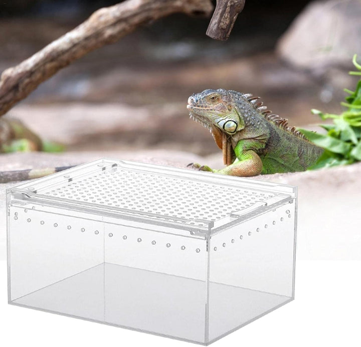 Durchsichtige Reptilienaufzuchtbox, Acryl Reptilienfutterbox, Futterbox Für Insekten Reptilien Vogel