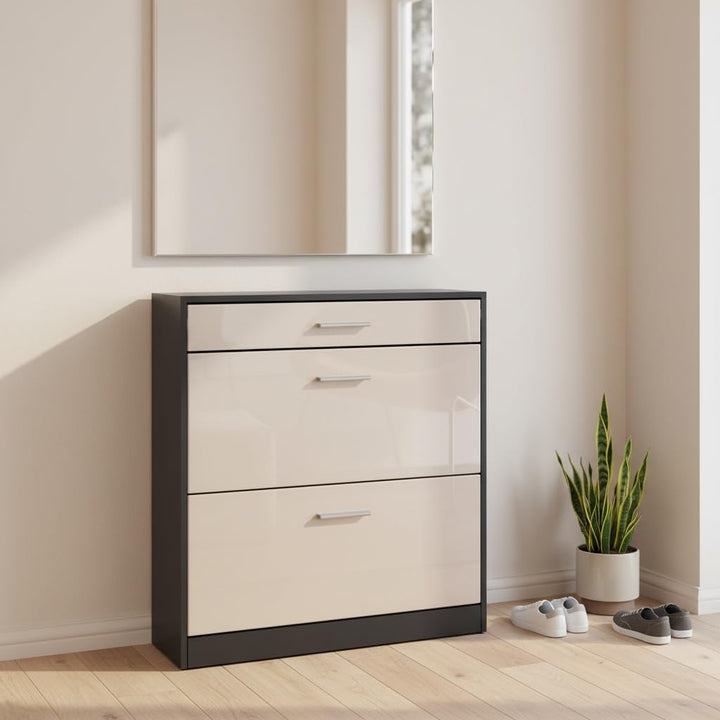 Schuhschrank Roma Schmal mit 2 Klappen und 1 Schublade, Platzsparender Schuhkipper Flurschrank für D