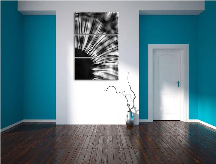 Pixxprint Pusteblume Schwarz-Weiss als Leinwandbild/Grösse: 3 Teilig (120x80) cm/Wandbild/Kunstdruck