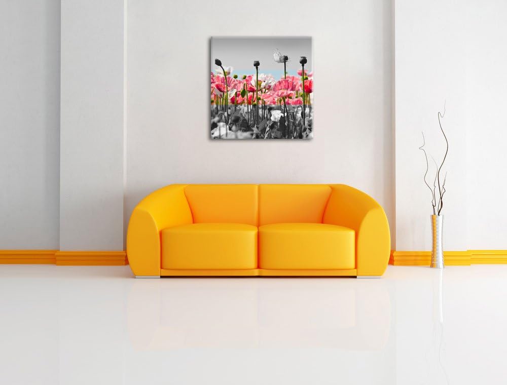Pixxprint Blumenwiese Mohnblumen als Leinwandbild Quadratisch/Grösse: 70x70 / Wandbild/Kunstdruck/fe