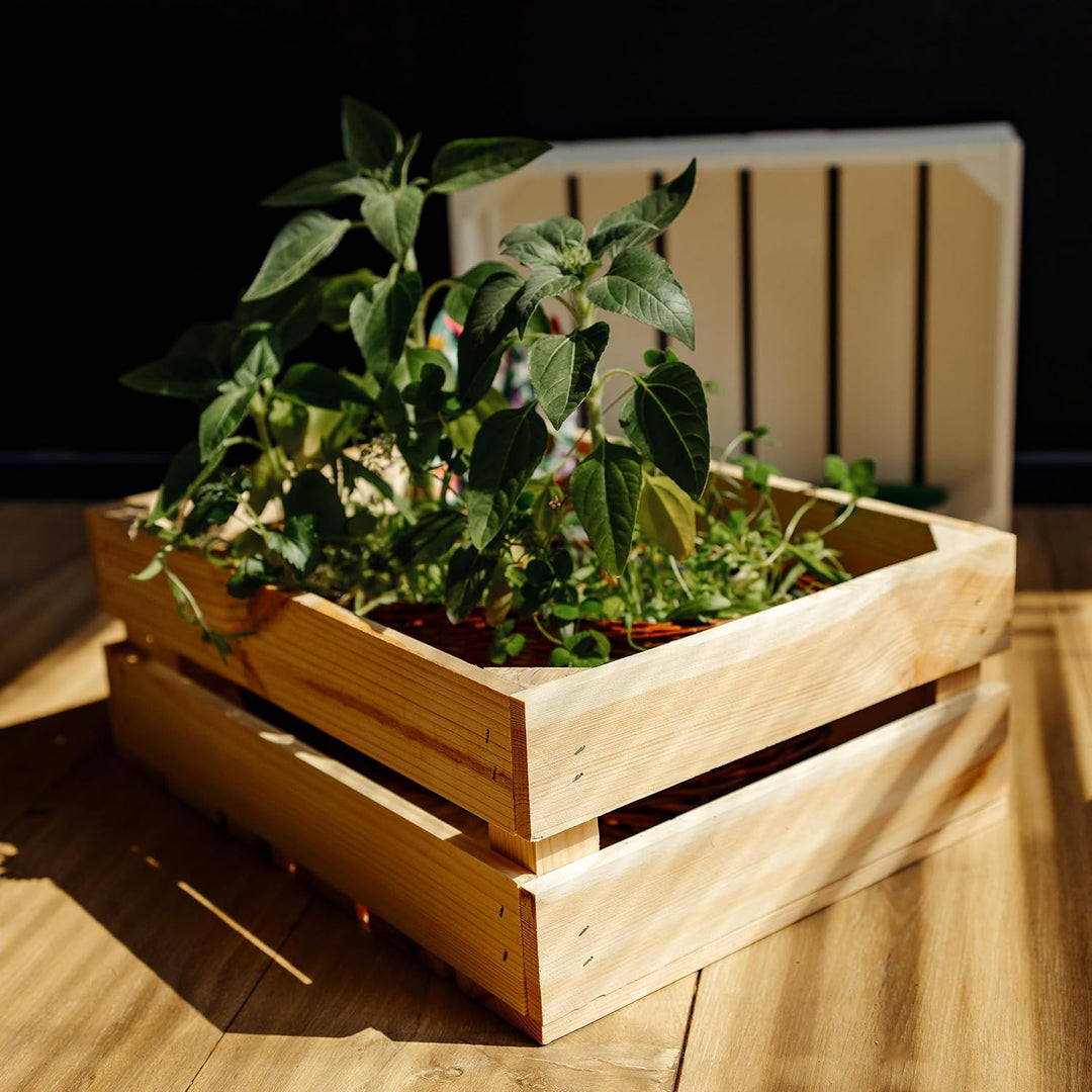 Creative Deco 3 x Holzkiste Natur | Weinkisten Set Obstkiste Holz | Geschliffen | 40 x 30 x 15 cm |