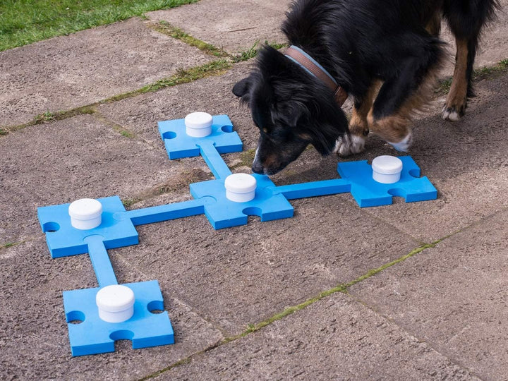 Schnüffel-Set für Hunde, Hundespielzeug, Agility Training, Geruchssinn Training, Hundesport