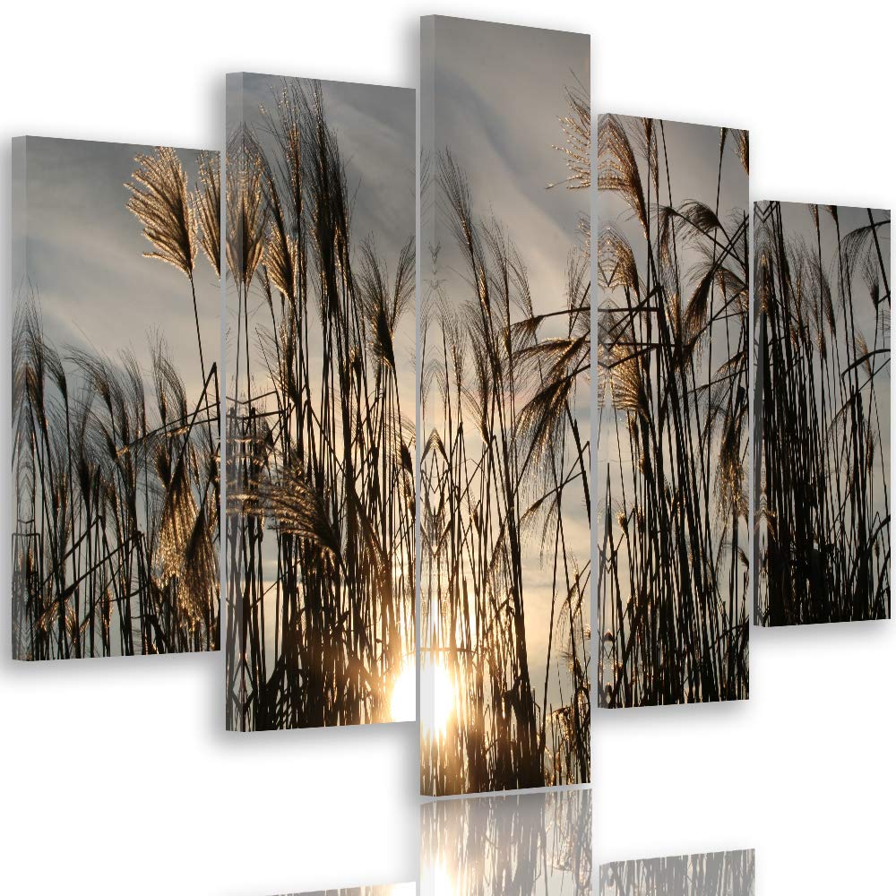 Feeby Bilder Natur 200x100 cm - Leinwandbild 5 Teilig XXL Kunstdruck Gras Sonne braun Leinwandbild X