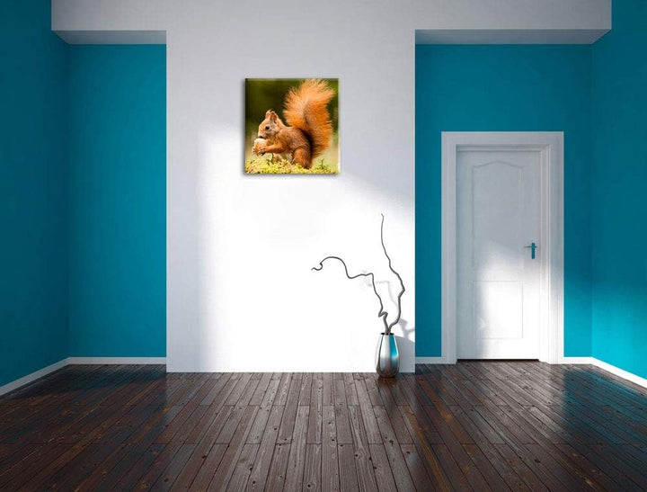 Eichhörnchen mit Nuss, Format: 70x70 auf Leinwand, XXL riesige Bilder fertig gerahmt mit Keilrahmen,