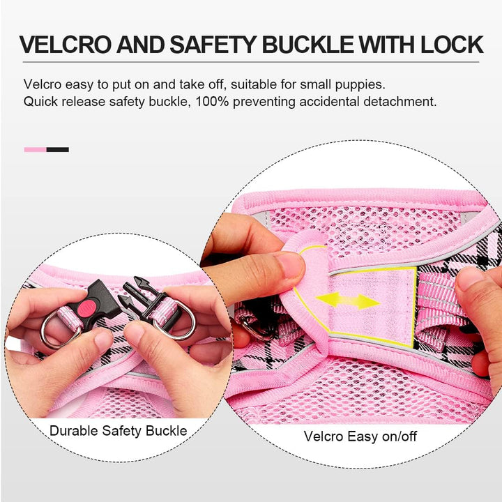 Suredoo Hundegeschirr Kleine Hunde mit Leine, Anti Zug Geschirr Reflektierend Atmungsaktiv Brustgesc