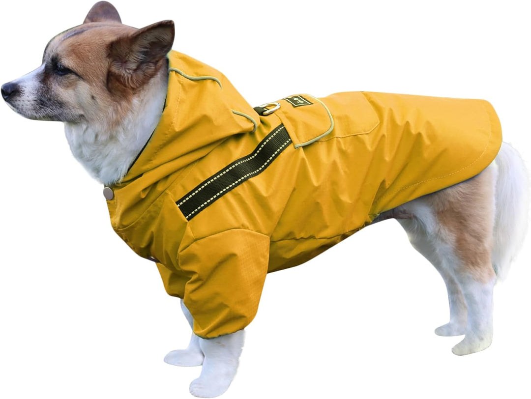 Premium-Regenmantel mit Kapuze für Mittelgrosse Hunde, Outdoor-Sport, Wasserdichte Regenjacke, Welpe