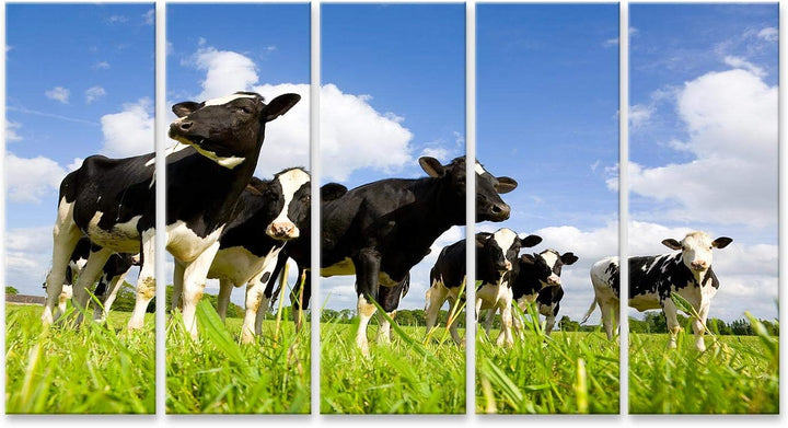 islandburner Bild auf Leinwand Holsteinische Kühe Auf Der Wiese Bilder Wandbilder Poster Leinwand 16