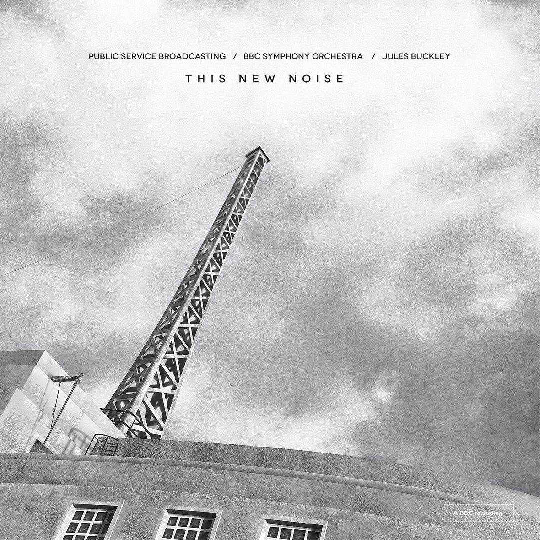 This New Noise, Vinyl