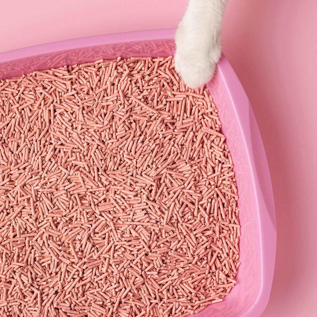 Cat&Rina BeNatural Tofu Katzenstreu, pflanzlich und stark klumpend. Biologisch abbaubar und in der T