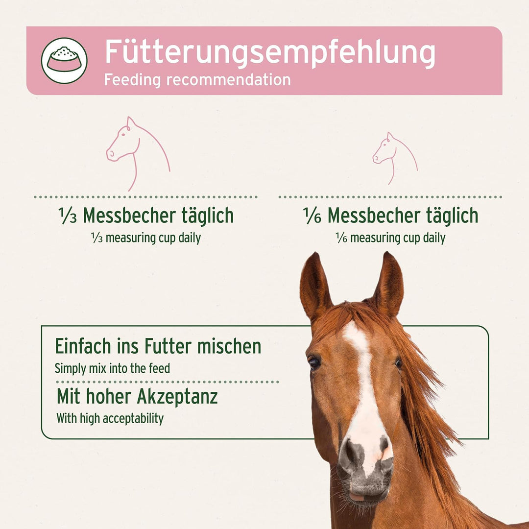 AniForte 4in1 Complete für Pferde 3kg - Natürliche Rundumversorgung mit Bierhefe BT, Hagebutte, Kies