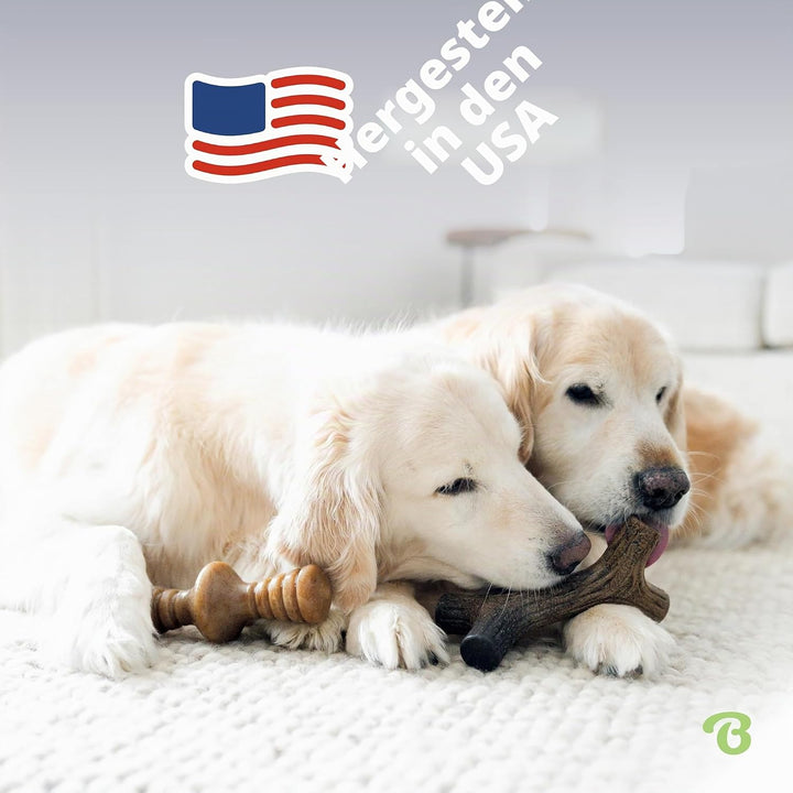 Benebone 2-Pack Indestructible Maplestick/Zaggler for Aggressive Chewers, Long Lasting Tough Boredom