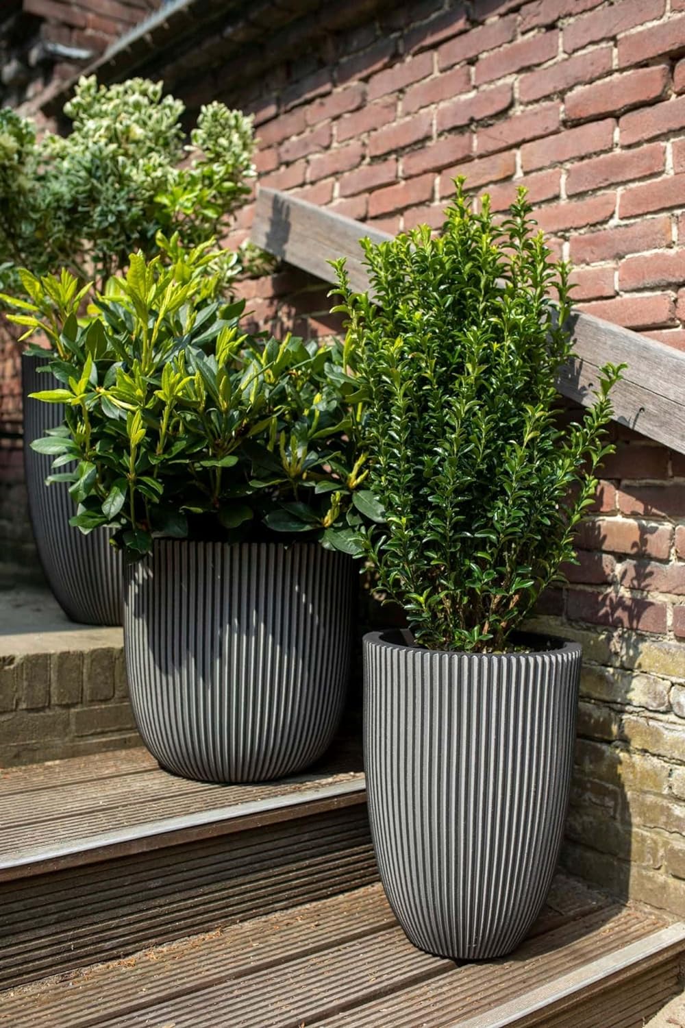 Capi Europe - Gefäss elegant niedrig Groove NL - 46x58 - Schwarz - Öffnung Ø38 - Blumentopf für den