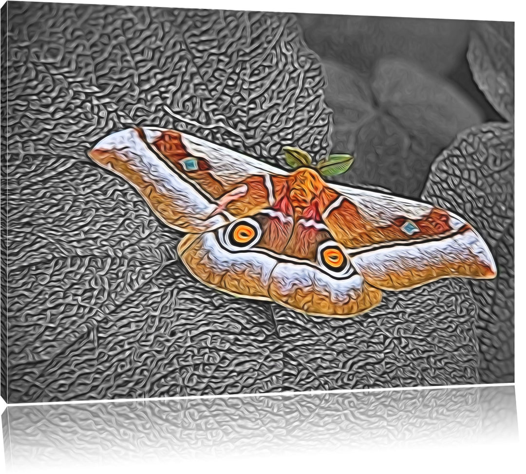 eleganter Schmetterling auf Blatt schwarz/weiss Deluxe Format: 100x70 cm auf Leinwand, XXL riesige B