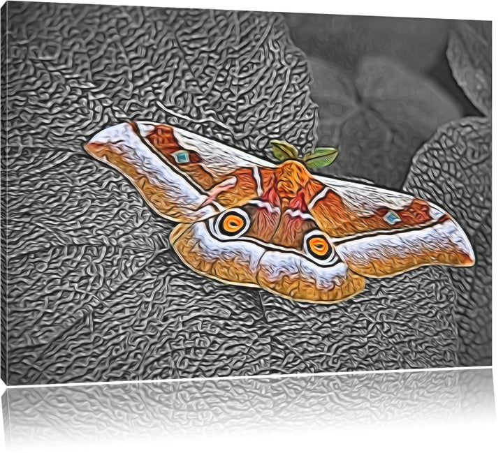 eleganter Schmetterling auf Blatt schwarz/weiss Deluxe Format: 100x70 cm auf Leinwand, XXL riesige B