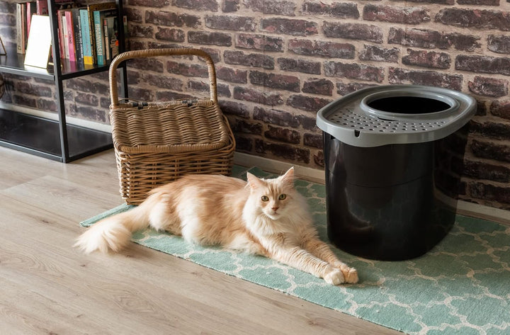 Iris Ohyama Katzenklo mit Schaufel, bis 7 kg, Schwarz/Grau, mit Deckel, Katzentoilette, leicht reini