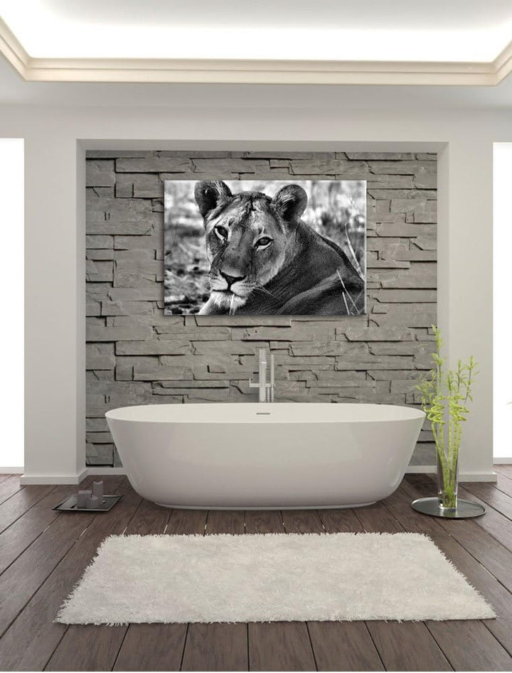 Pixxprint schöne Löwin im Wildgras als Leinwandbild/Grösse: 100x70 / Wandbild/Kunstdruck/fertig besp