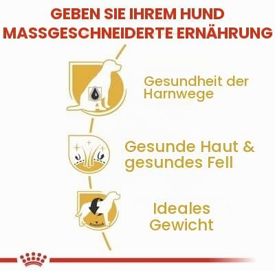 Royal Canin Bichon Frise Hundefutter für ausgewachsene Hunde, 1,5 kg, 2 Stück