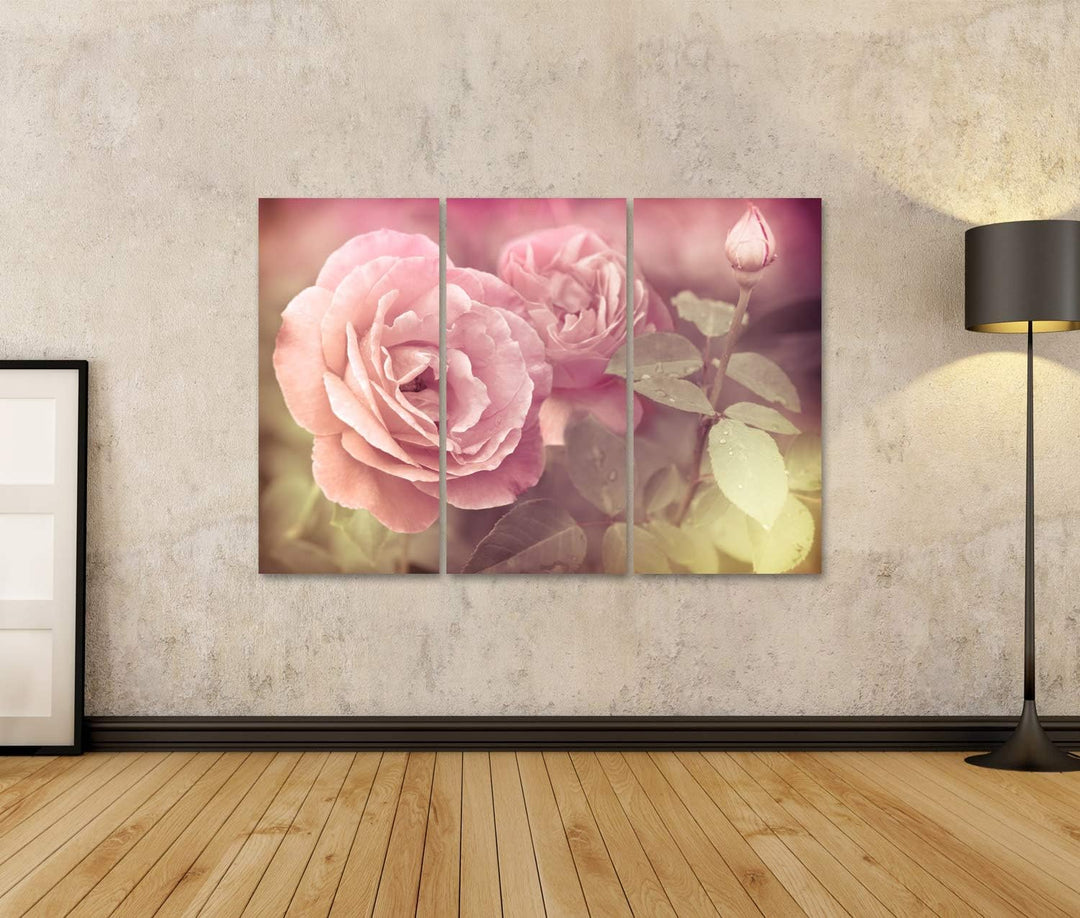 islandburner Bild auf Leinwand Abstrakt Pastel Rosa Rosen Mit Wassertropfen Bilder Wandbilder Poster