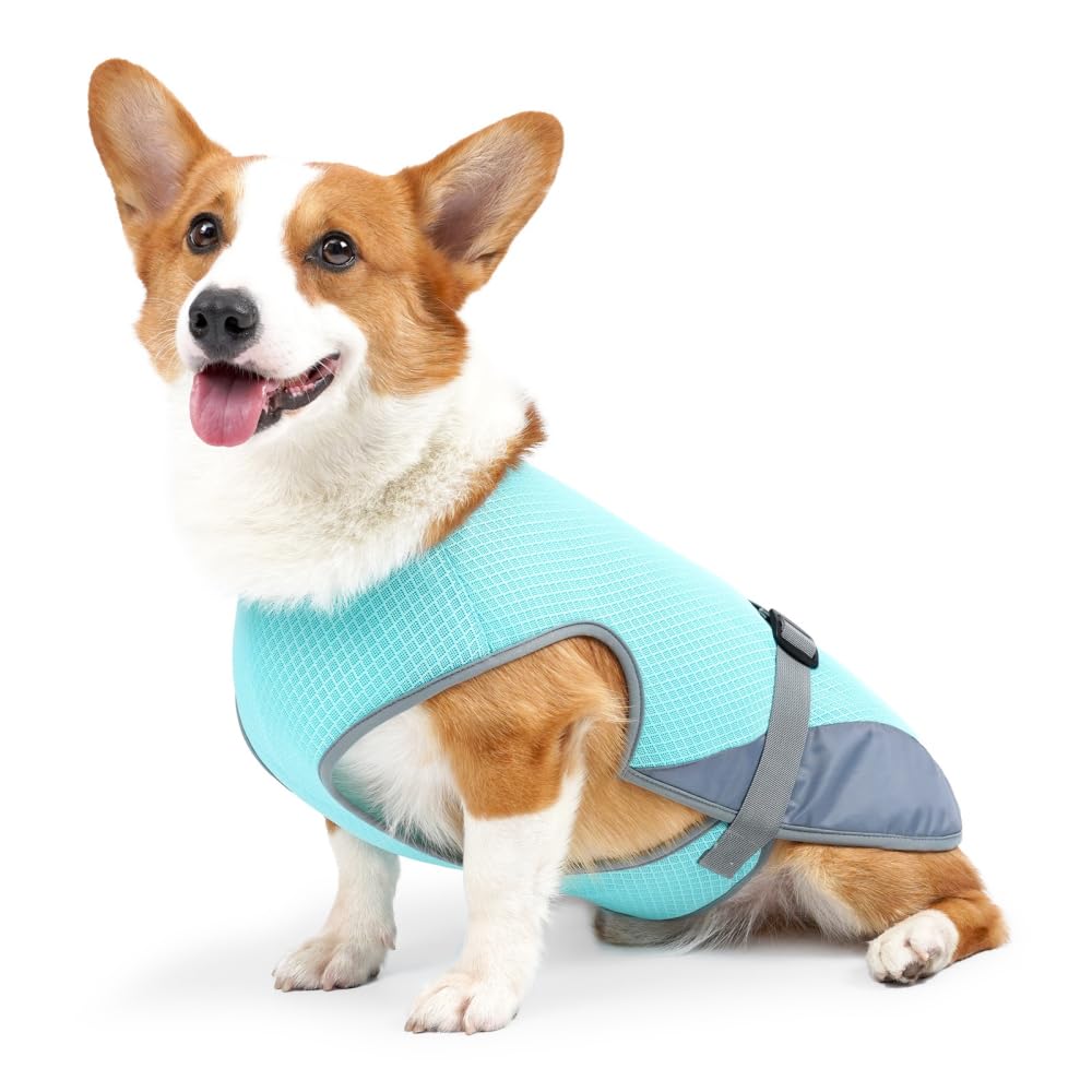 Hunde Kühlweste, Hundekühljacke Hundekühlmantel mit Verstellbarer Schnalle für Outdoor Jagdtraining,