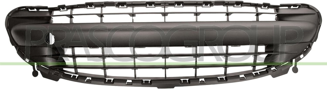 Stossstangengitter vorne mitte