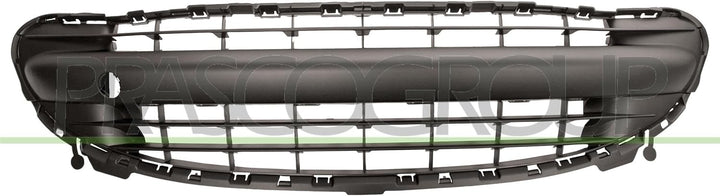 Stossstangengitter vorne mitte